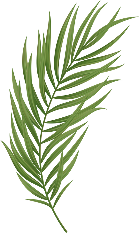 Palm Leaf Tropical